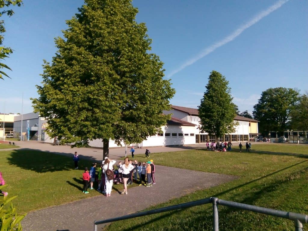 An einem sonnigen Tag versammelt sich eine Gruppe Kinder unter einem großen Baum auf einer Rasenfläche in der Nähe eines Schulgebäudes. Im Hintergrund sind in der Nähe der Schule weitere Kinder zu sehen.