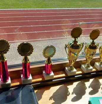 Auf einer Fensterbank stehen sieben gold-rote Trophäen und zwei goldene Pokale, während draußen im Sonnenlicht eine Laufbahn und grünes Gras zu sehen sind.