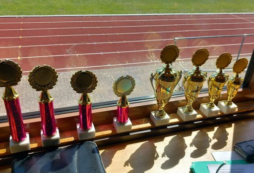 Auf einer Fensterbank stehen sieben gold-rote Trophäen und zwei goldene Pokale, während draußen im Sonnenlicht eine Laufbahn und grünes Gras zu sehen sind.